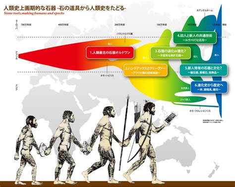 人類起源的四大理論|人類の進化